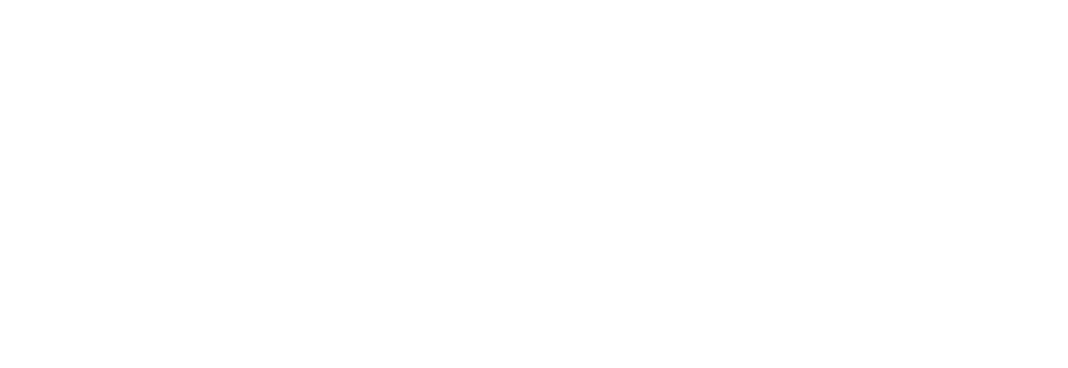 Paint S.r.l.